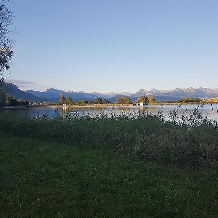 Camping La Motte Flottante La Freissinouse Extérieur photo