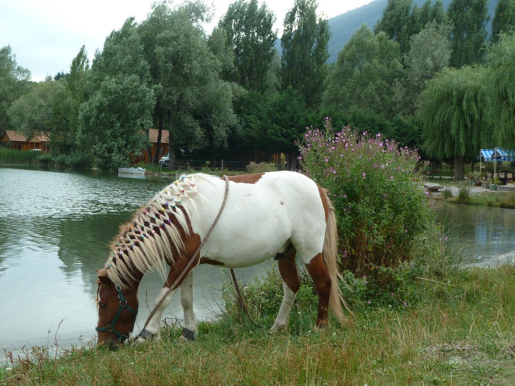 Camping La Motte Flottante La Freissinouse Extérieur photo