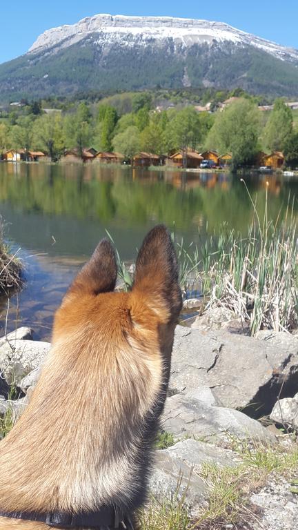 Camping La Motte Flottante La Freissinouse Extérieur photo